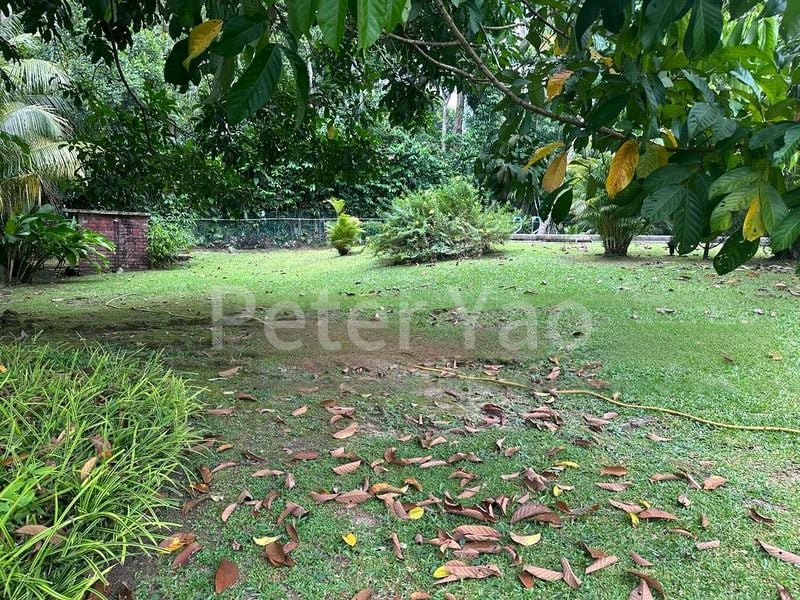 5 Bed Bungalow (Landed) for Rent in Binjai Park - Image 12