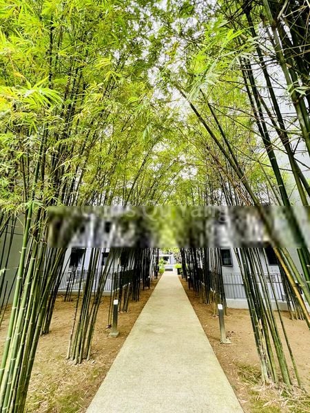 4 Bed Executive Condo for Rent in  The Visionaire - Image 3