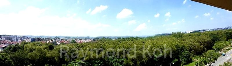 Executive HDB for Sale in  505 Pasir Ris Street 52 - Image 12