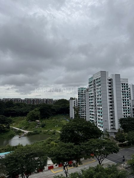 3 Room (3A) HDB for Sale in 118A Alkaff Crescent - Image 13