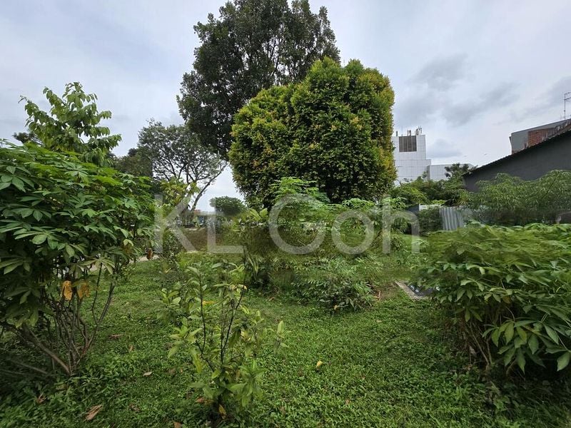 Shop / Shophouse for Sale: Upper Thomson Road Shophouses - Image 3