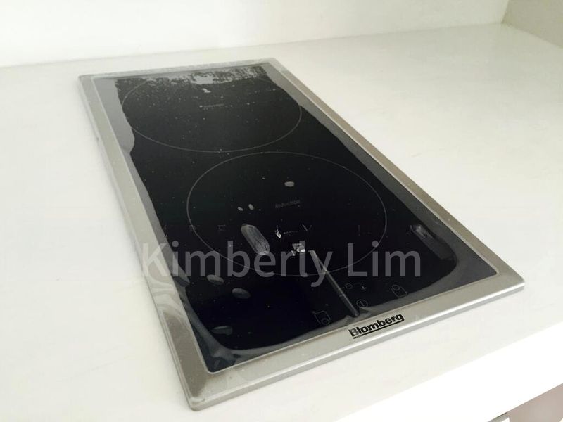 Studio Condo for Sale in  Skysuites @ Anson - Image 4