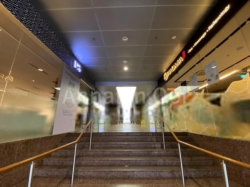 Other Retail for Sale: 15 Scotts - Image 3