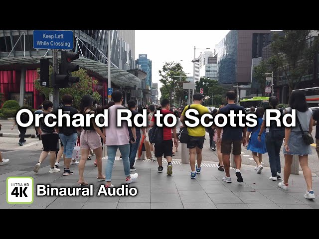 Other Retail for Sale: 15 Scotts - Image 5