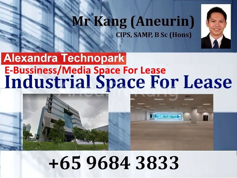 e-Business for Rent in  Alexandra Technopark - Image 1