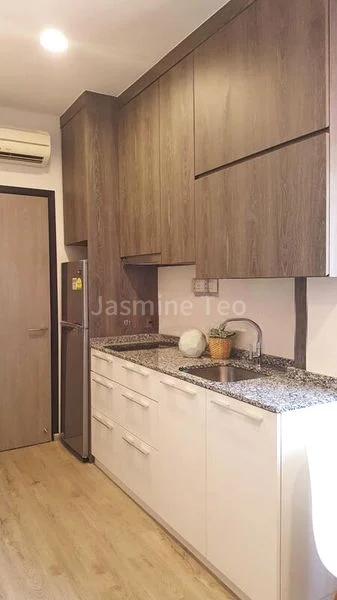 Studio Walk-up Apartment (Condo) for Rent in  Tanjong Katong Road - Image 4