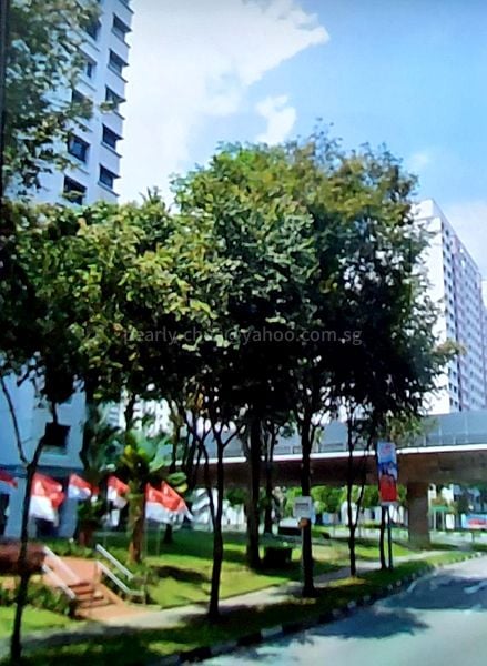 Common Room (HDB) for Rent in  685 Choa Chu Kang Crescent - Image 1