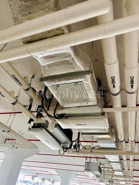 Light Industrial (B1) for Rent: Luzerne Building - Image 3