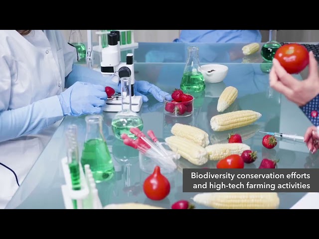 Factory / Workshop (B2) for Sale in  Food Vision @ Mandai - Image 17