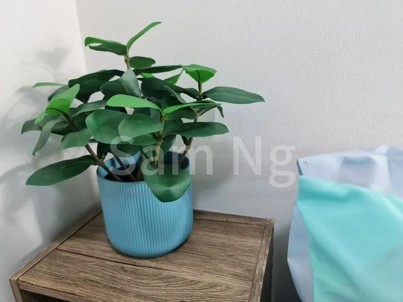 Common Room (Condo) for Rent in  Fortune Park - Image 9