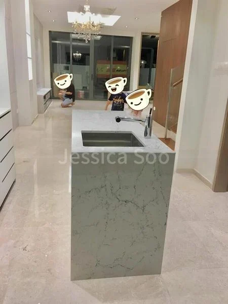 6 Bed Terraced House (Landed) for Sale in  Frankel Estate - Image 3