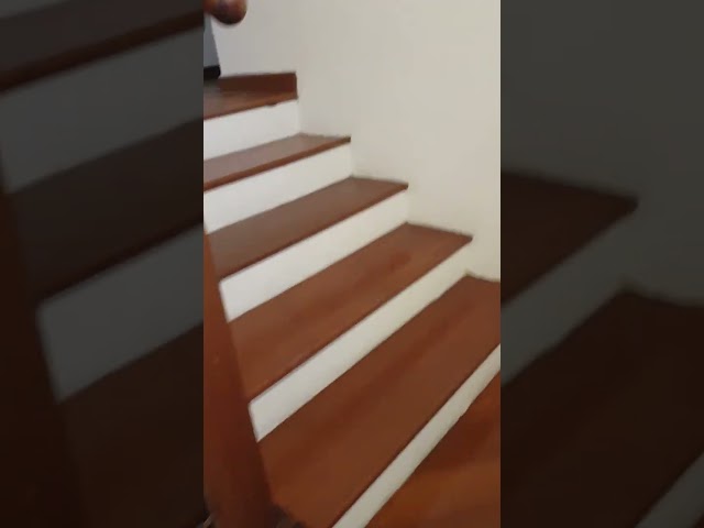 Common Room (Condo) for Rent in East Bay Gardens - Image 18