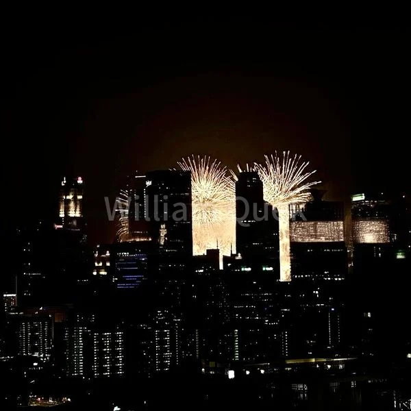 3 Bed Condo for Sale in Avenue South Residence - Image 2