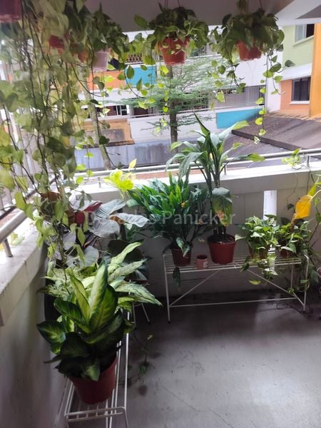 Common Room (HDB) for Rent in  807 Yishun Ring Road - Image 6