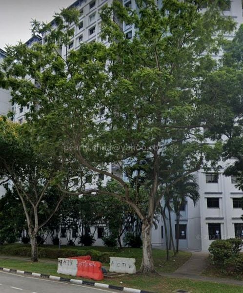 Common Room (HDB) for Rent in  261D Sengkang East Way - Image 4