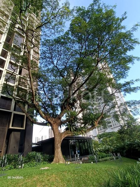 2 Bed Condo for Rent in  Irwell Hill Residences - Image 42