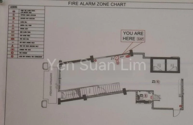 Other Retail for Rent: Atlassia Joo Chiat Shophouse, Ground Floor Commercial / Retail - Image 5