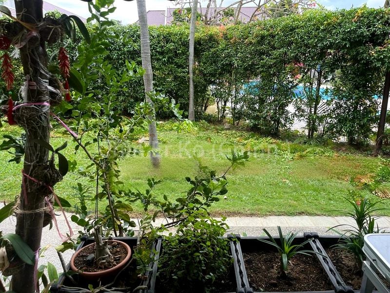 4 Bed Terraced House (Landed) for Sale in  Upper Changi Road - Image 5