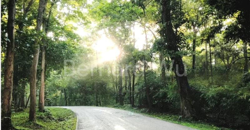 5 Bed Terraced House (Landed) for Sale in  Barker Road - Image 11