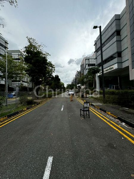 Light Industrial (B1) for Rent: Ubi Techpark - Image 2