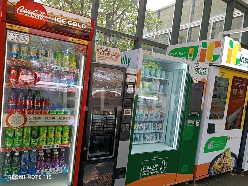 4 Bed Condo for Rent in  Botannia - Image 12