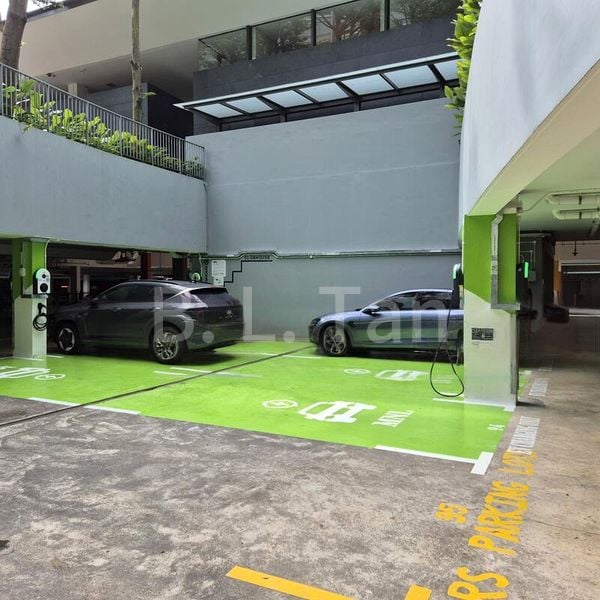 4 Bed Condo for Rent in  Botannia - Image 18