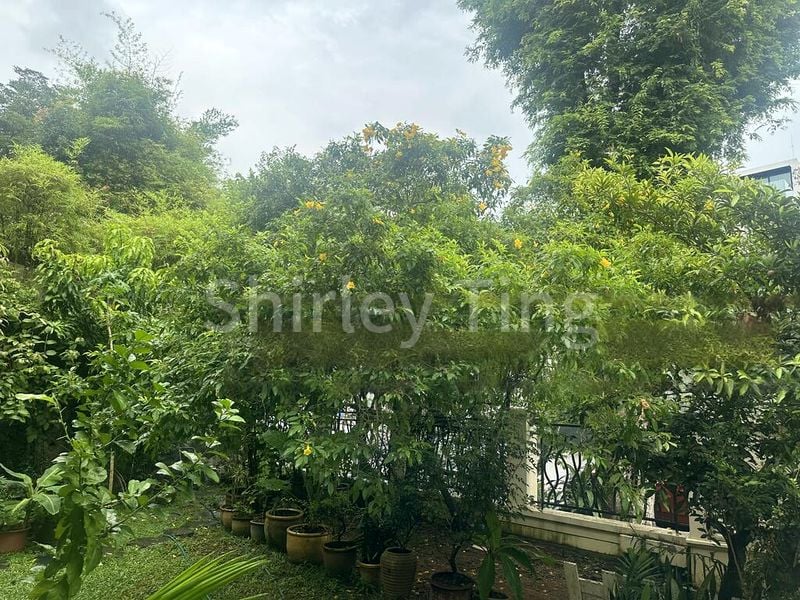 4 Bed Semi-Detached House (Landed) for Sale in  Greenwood Villas - Image 12