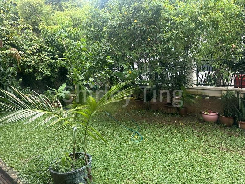 4 Bed Semi-Detached House (Landed) for Sale in  Greenwood Villas - Image 4