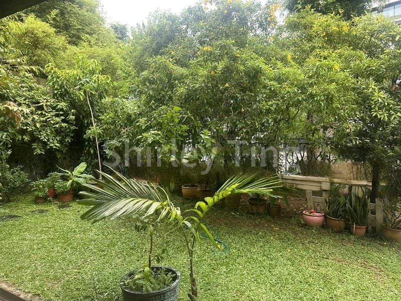 4 Bed Semi-Detached House (Landed) for Sale in  Greenwood Villas - Image 3