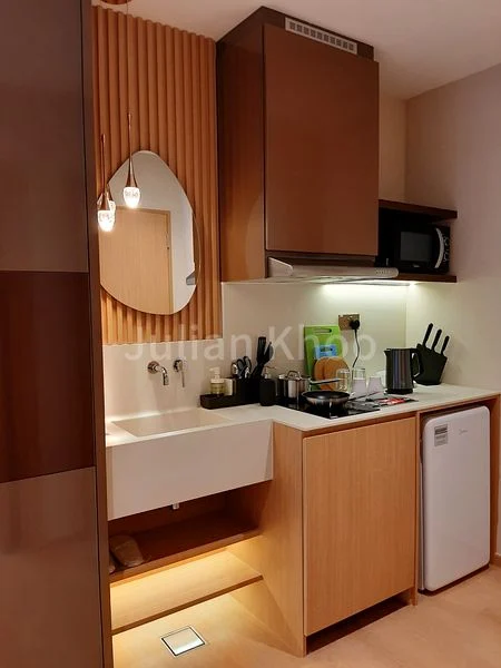 Studio Service Apartment (Condo) for Rent in 2 Mount Elizabeth Link - Image 3