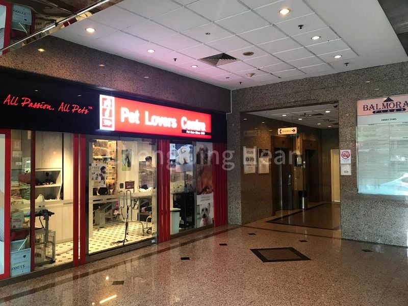 Shop / Shophouse for Sale: Balmoral Plaza - Image 4