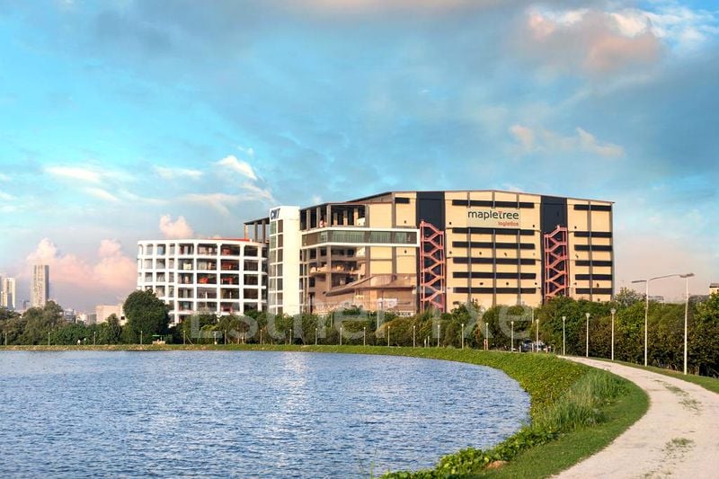 Factory / Workshop (B2) for Rent: 4 Pandan Avenue - Image 2