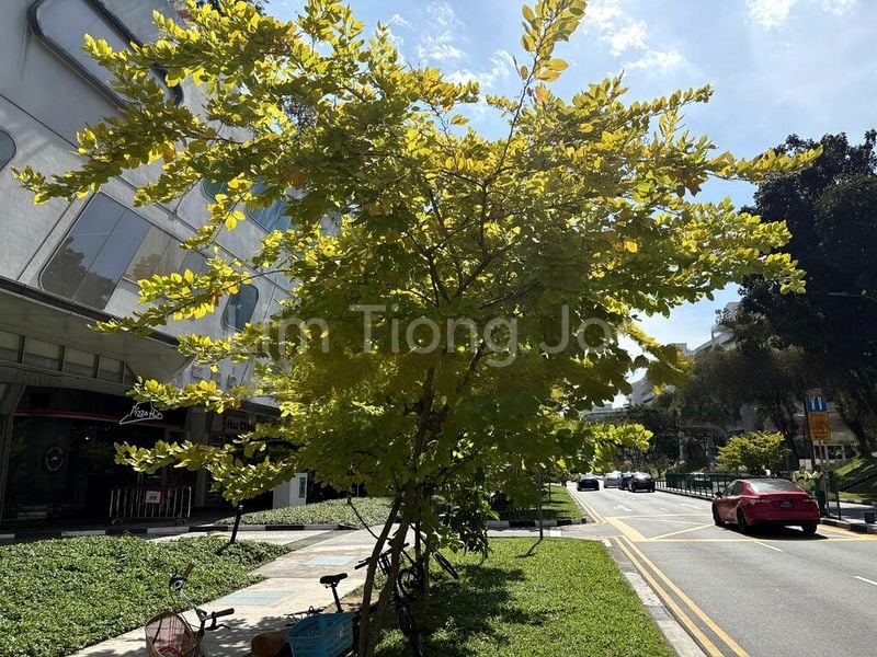 Shop / Shophouse for Sale: Junction Nine - Image 1