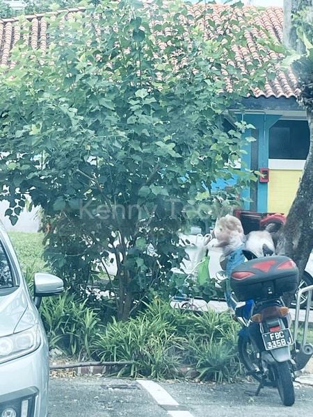 Shop / Shophouse for Rent: Bamboo Grove Park - Image 2