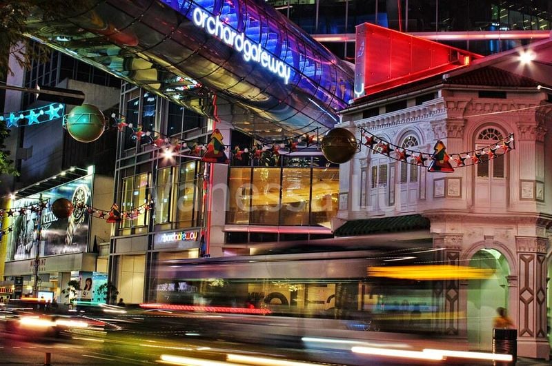 Other Retail for Rent: Orchard Gateway - Image 1