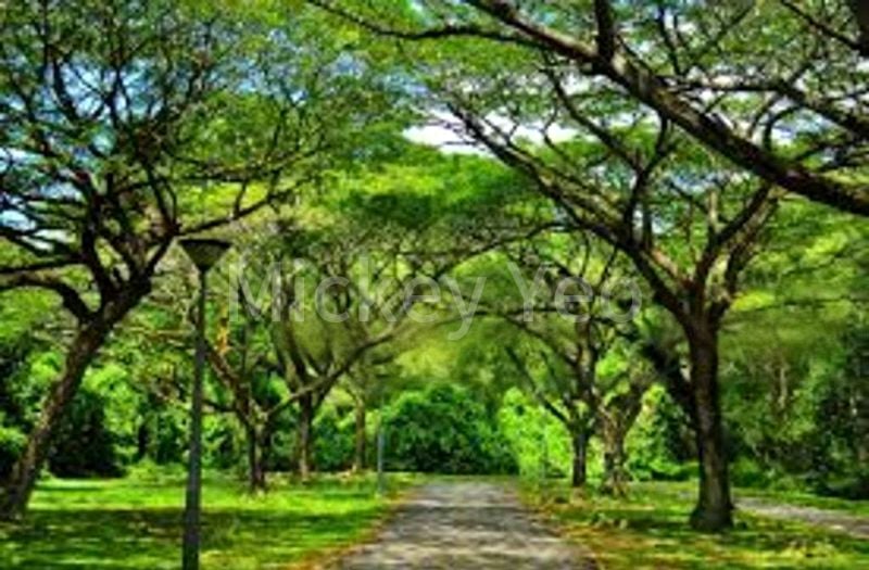 Room (Condo) for Rent in  Avila Gardens - Image 10