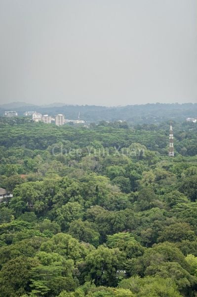 4 Room (4A) HDB for Sale in  90 Dawson Road - Image 10