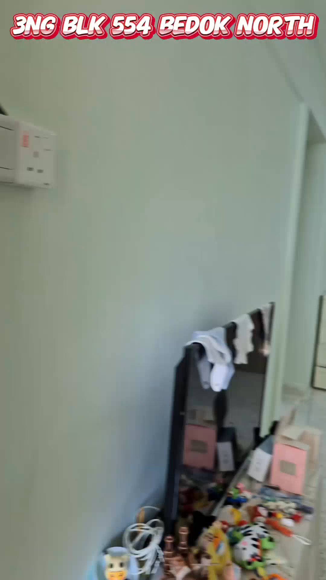 3 Room (3NG) HDB for Sale in  554 Bedok North Street 3 - Image 13