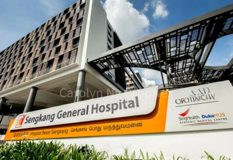 Common Room (HDB) for Rent in  289B Compassvale Crescent - Image 2