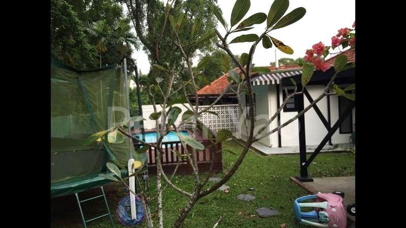 3 Bed Bungalow (Landed) for Rent in Ridout Road - Image 8