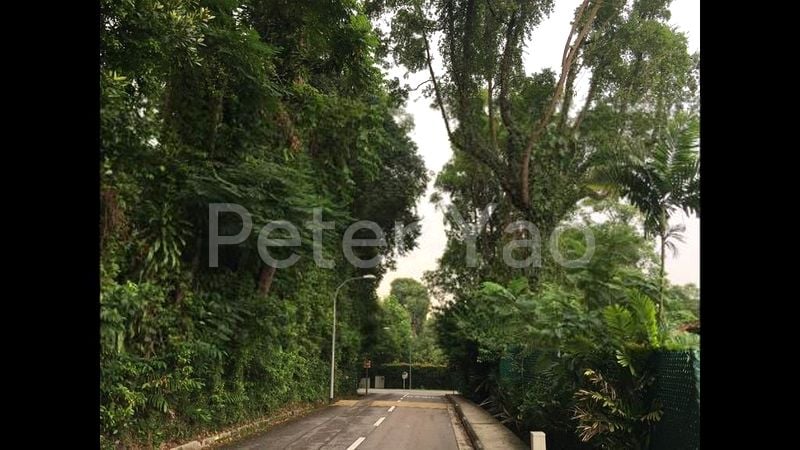 3 Bed Bungalow (Landed) for Rent in Ridout Road - Image 3