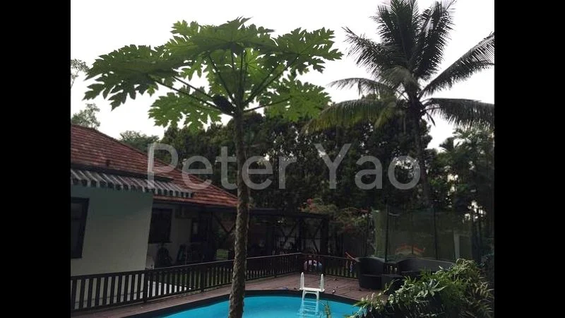 3 Bed Bungalow (Landed) for Rent in Ridout Road - Image 4