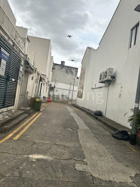 Shop / Shophouse for Sale: Little India Trophy Asset - Image 2