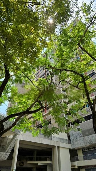 Shop / Shophouse for Rent: Waterloo Centre - Image 2