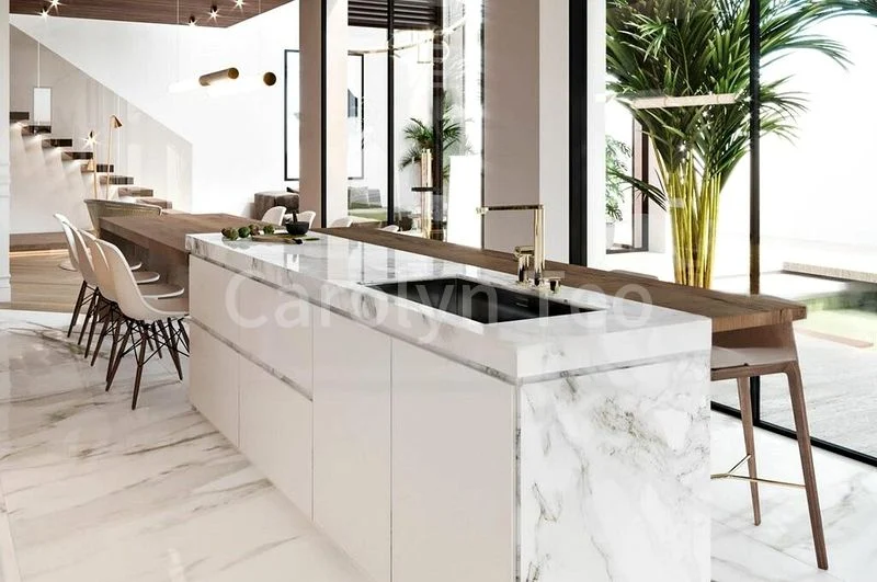 5 Bed Terraced House (Landed) for Sale in  Serangoon Garden Estate - Image 3