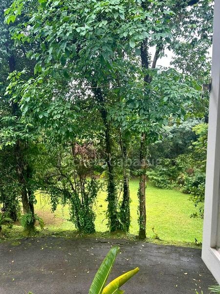 3 Bed Bungalow (Landed) for Rent in  Caldecott Hill Estate - Image 6