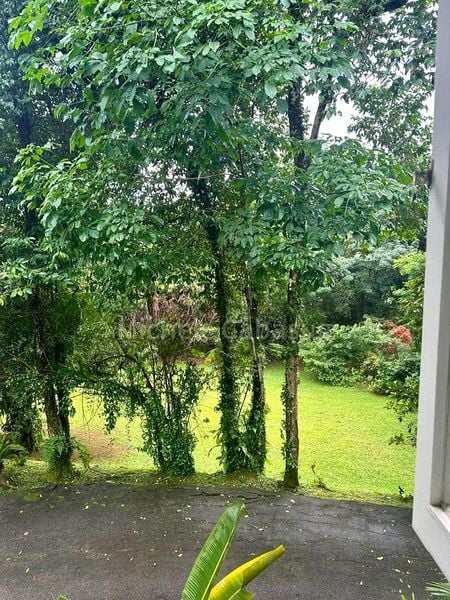 3 Bed Bungalow (Landed) for Rent in  Caldecott Hill Estate - Image 13