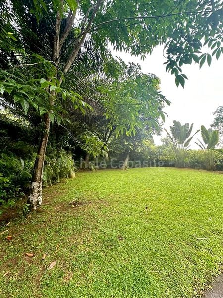 3 Bed Bungalow (Landed) for Rent in  Caldecott Hill Estate - Image 10