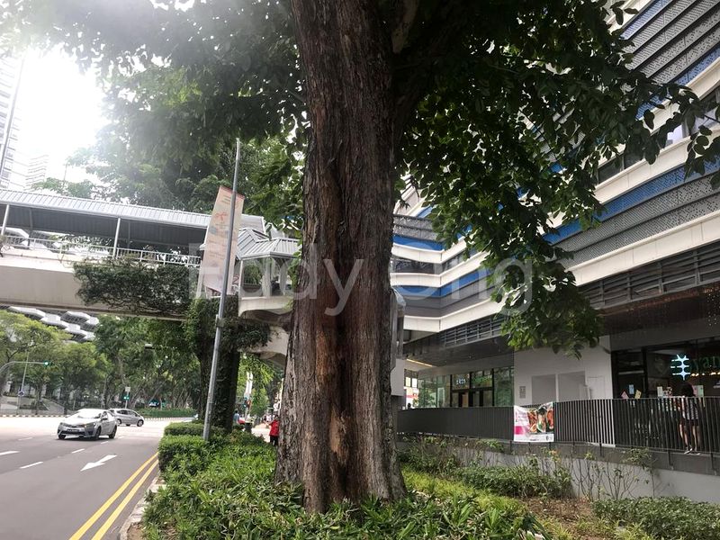 Food & Beverage for Sale in  City Gate - Image 1