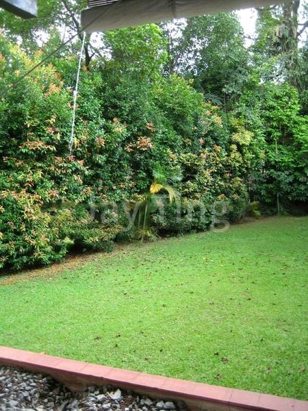 5 Bed Bungalow (Landed) for Rent in  Morley Road - Image 1